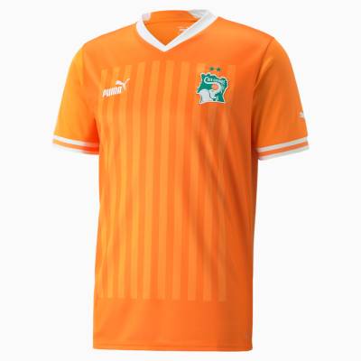 ivory_coast_2022_puma_home_kit_6.jpeg