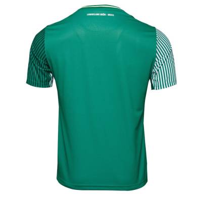 werder_bremen_2023_24_hummel_home_kit_h.jpeg