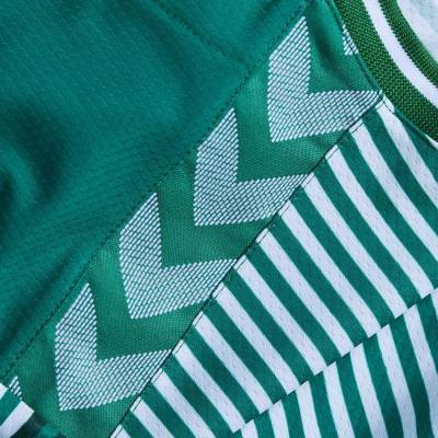 werder_bremen_2023_24_hummel_home_kit_j.jpeg