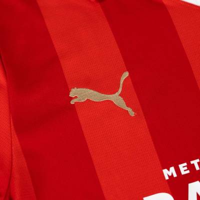 psv_2023_24_puma_home_kit_j.jpeg