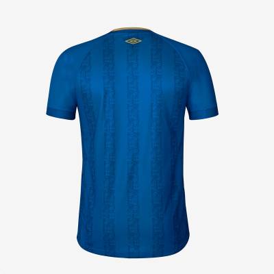 avai_2023_umbro_third_kit_3.jpg