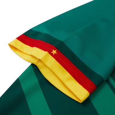 cameroon_2022_2023_home_away_third_kits_a_7.jpg