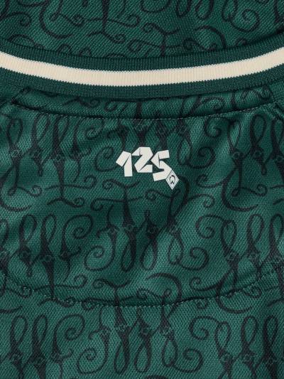 werder_bremen_2024_hummel_125th_anniversary_jersey_g.jpeg