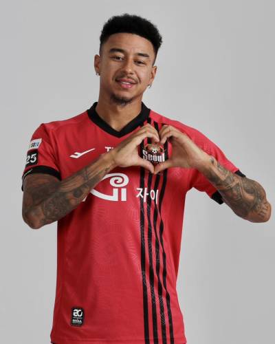 fc_seoul_2024_pro_specs_home_kit_b.jpeg