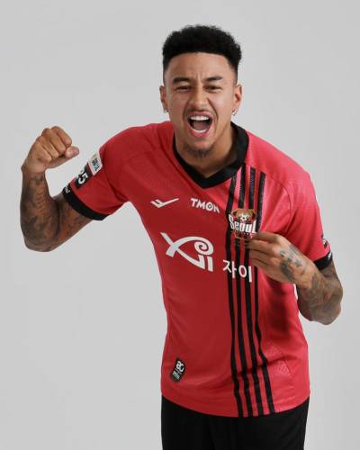 fc_seoul_2024_pro_specs_home_kit_c.jpeg