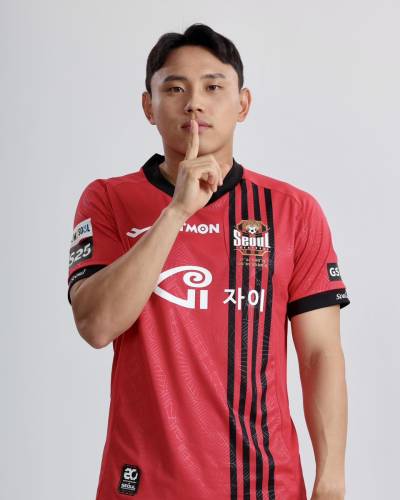 fc_seoul_2024_pro_specs_home_kit_d.jpeg