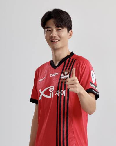 fc_seoul_2024_pro_specs_home_kit_f.jpeg