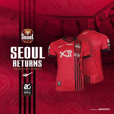 fc_seoul_2024_pro_specs_home_kit_h.jpeg