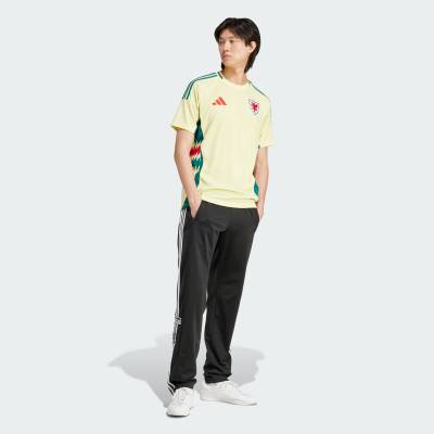 wales_2024_adidas_away_kit_c1.jpg