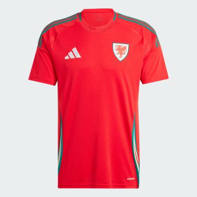 wales_2024_adidas_home_kit_d1.jpg