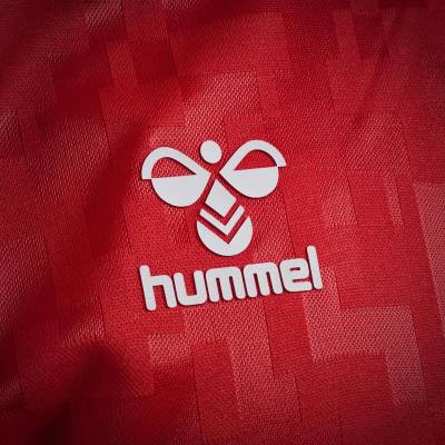 denmark_2024_hummel_home_kit_c.jpg