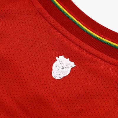 bolivia_2024_marathon_copa_america_away_shirt_e.jpeg