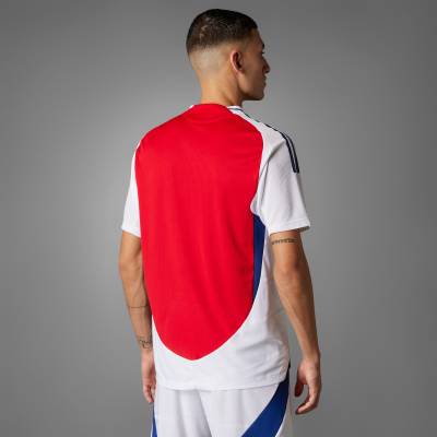 arsenal_24_25_adidas_home_kit_f1.jpg