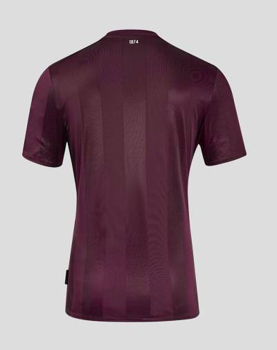 heart_of_midlothian_24_25_umbro_home_kit_f.jpg