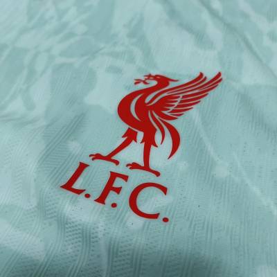 liverpool_24_25_third_shirt_leaked_c.jpeg