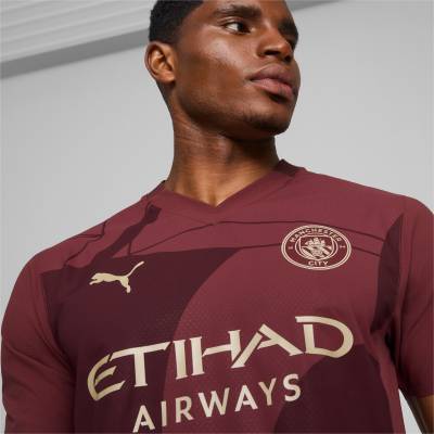 anchester_city_24_25_puma_third_kit_3.jpeg