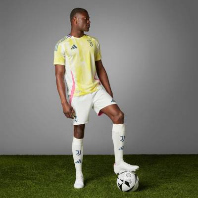 juventus_24_25_adidas_away_kit_b1.jpg