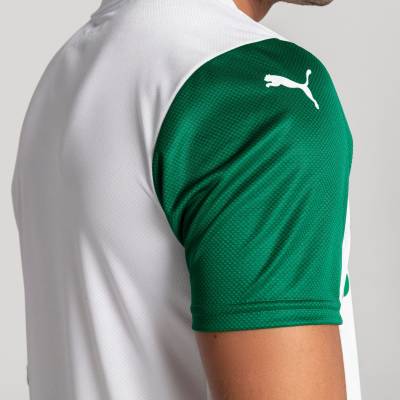 palmeiras_2025_puma_away_kit_02.jpeg