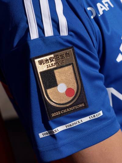 yokohama_f_marinos_2023_home_kit_g.jpeg