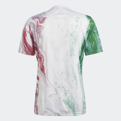 italy_pre_match_jersey_green_white_red_e.jpg