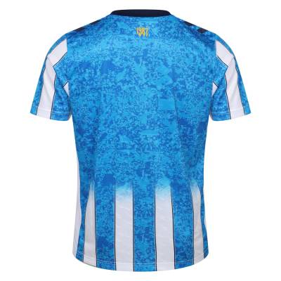 coventry_city_26_27_hummel_home_kit_5b.jpg