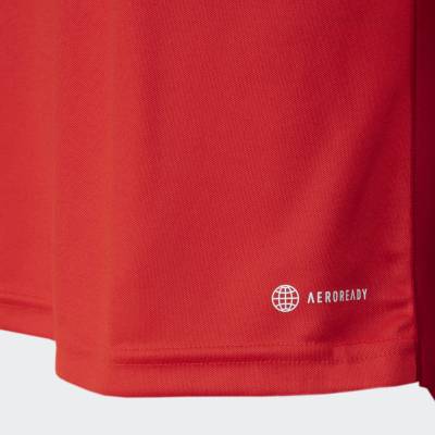 sc_internacional_2023_2024_adidas_home_kit_f.jpeg