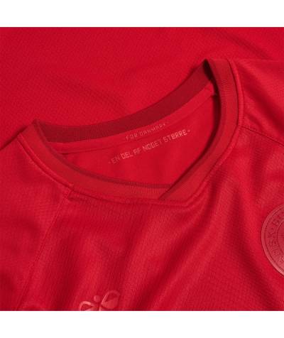 denmark_2022_home_away_third_kit_5.jpg