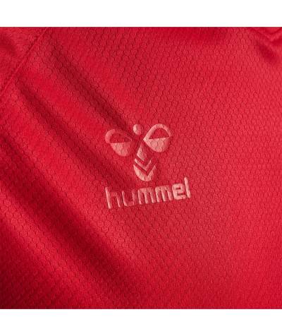 denmark_2022_home_away_third_kit_6.jpg