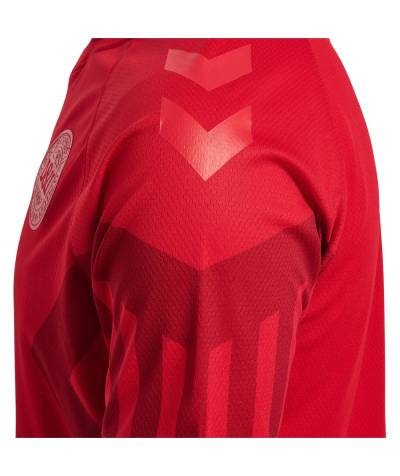 denmark_2022_home_away_third_kit_7.jpg