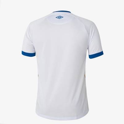 avai_2023_24_umbro_home_away_kits_c2.jpg