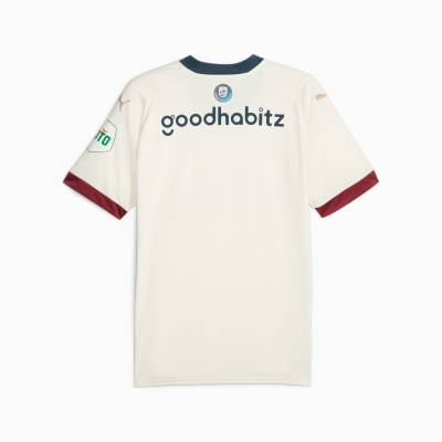 psv_2023_24_puma_away_shirt_b.jpeg