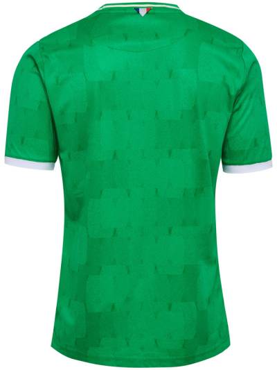 saint_etienne_2023_24_hummel_home_kit_d.jpeg