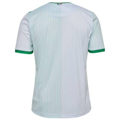 saint_etienne_2023_24_hummel_away_kit_b.jpeg