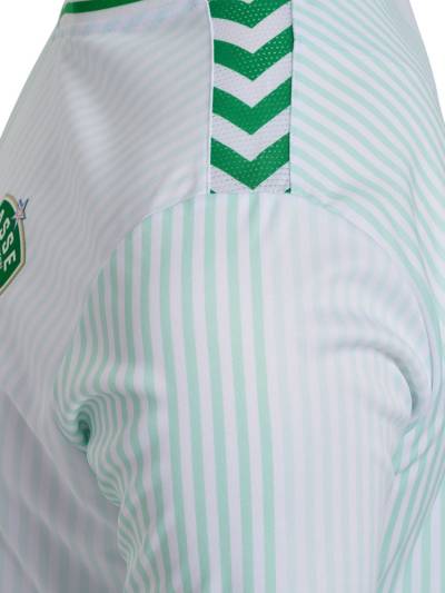 saint_etienne_2023_24_hummel_away_kit_d.jpeg