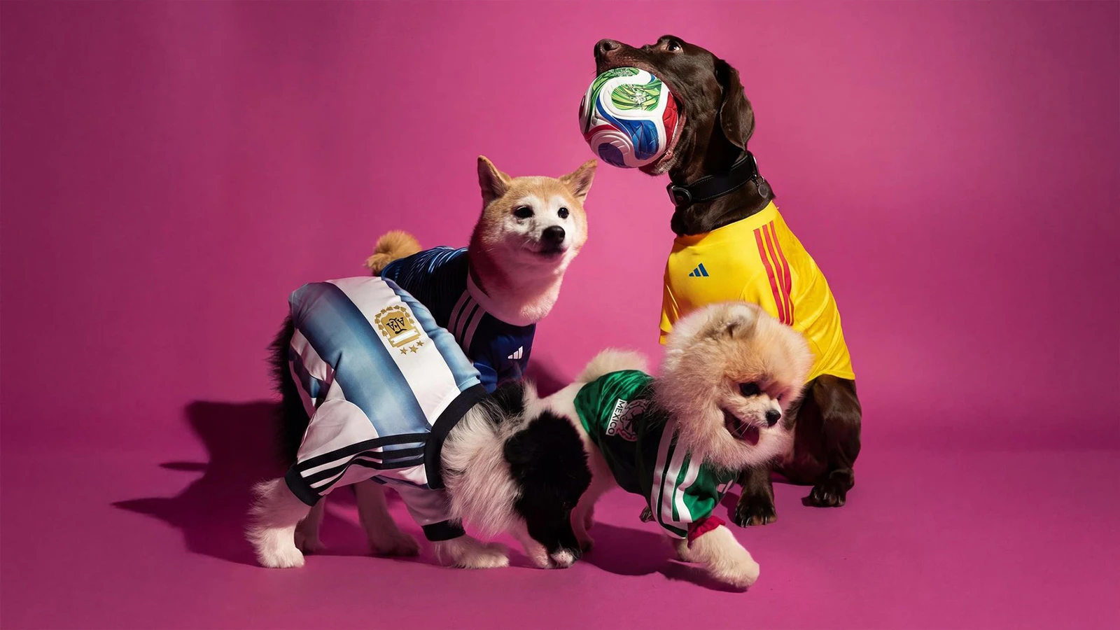 Adidas Launch FIFA World Cup 2026 Home Jersey Pet Collection