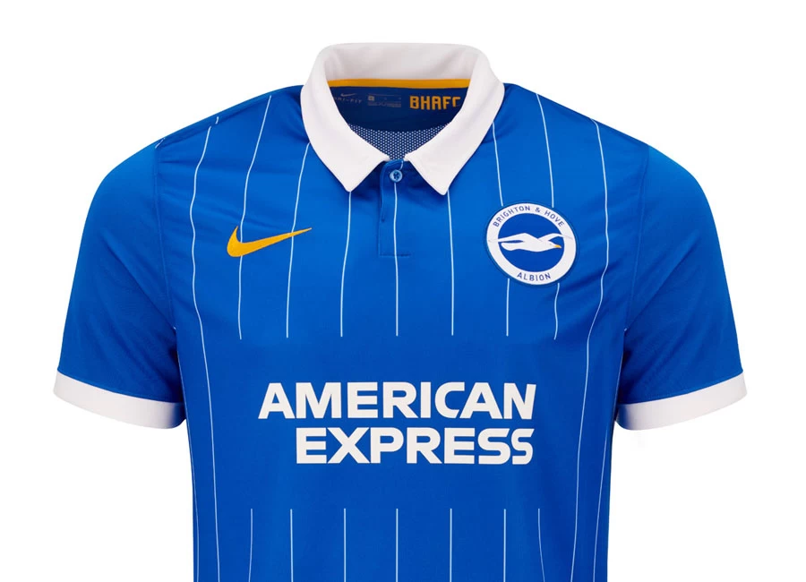 Brighton & Hove Albion 2020-21 Nike Home Kit #BHAFC #BrightonHoveAlbion #nikefootball